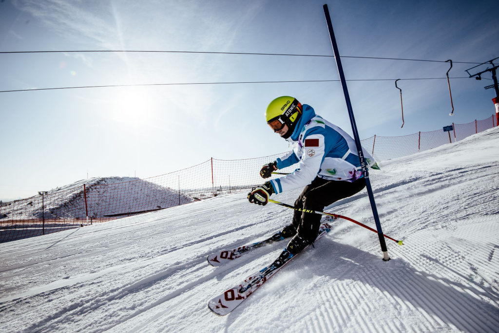 Горные лыжи